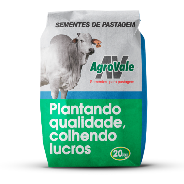 Brachiária Humidícola Llanero